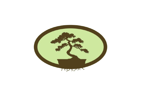 branches